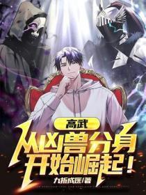 完结高武