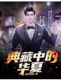 典藏华夏我打