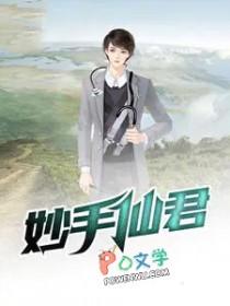 神仙道妙手仙子