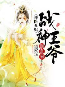 战神王爷狂宠丑妃