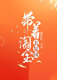 带着淘宝去复国百度