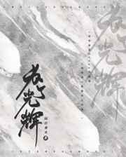 为了光辉abo txt
