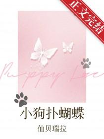 狗狗追蝴蝶