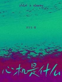心机是什么数字