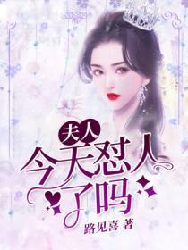 夫人今天又离婚了吗?