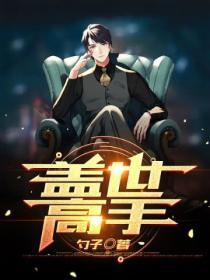 盖世高手免费阅读