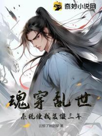 系统魂穿类
