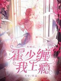 霍少宠妻总想离婚