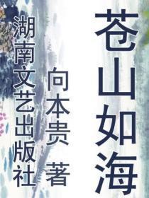 苍山如海残阳如血解释
