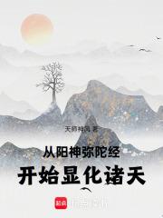 从阳神弥陀经开始显化诸天无错版