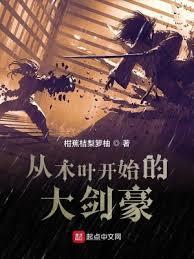 全职大剑豪