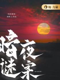 暗夜谜案