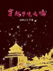 梦境之墙