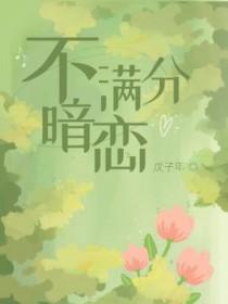 不满分暗恋