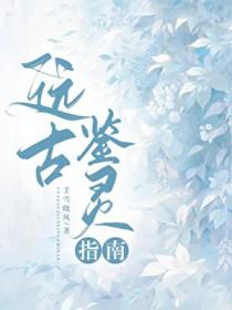 远古鉴灵指南