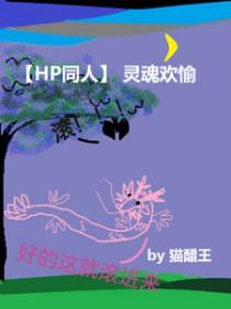 [HP同人] 灵魂欢愉