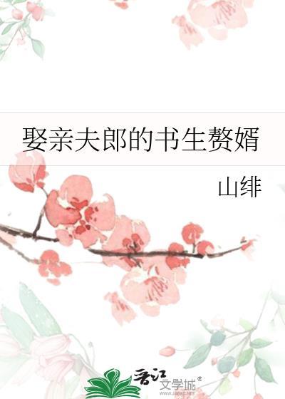 娶亲夫郎的书生赘婿