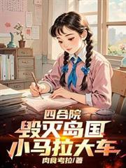 四合院：毁灭岛国，小马拉大车