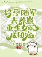 季妍书江云深