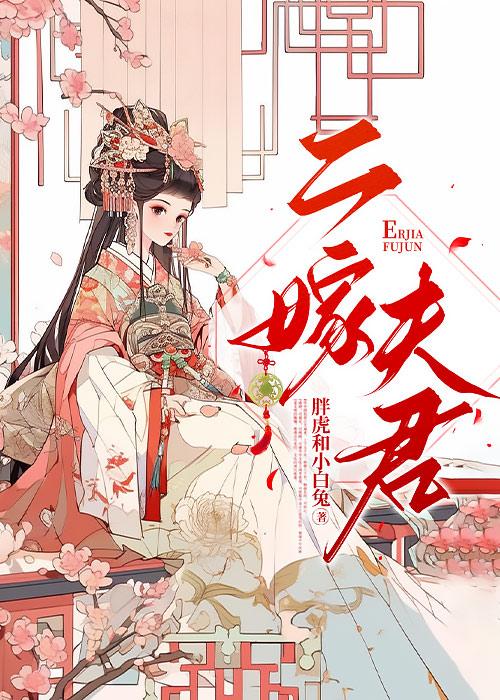 二嫁夫君