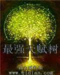 将神养狐手札
