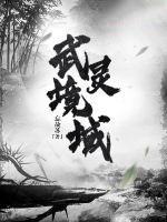 武灵境域